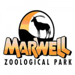 Marwell Zoo