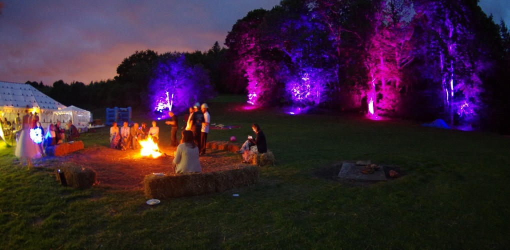 Outdoor Wedding Tree Uplighting