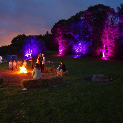 Outdoor Wedding Tree Uplighting